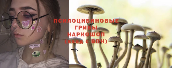 герыч Алзамай
