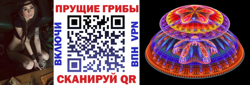 Галлюциногенные грибы Psilocybine cubensis  что такое наркотик  Могоча 